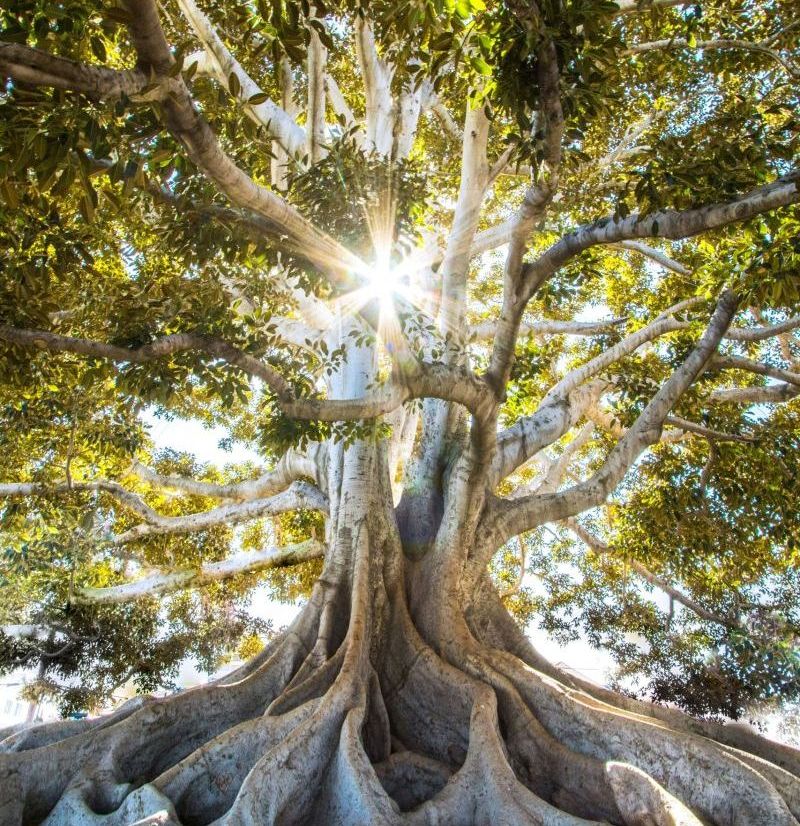 jeremy-bishop-EwKXn5CapA4-unsplash